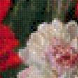 Preview of cross stitch pattern: #563394