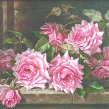 Cross stitch pattern: #563404
