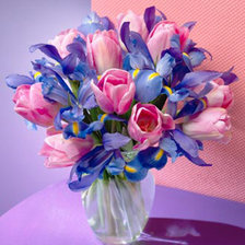 Cross stitch pattern: #563445
