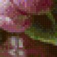 Preview of cross stitch pattern: #563501