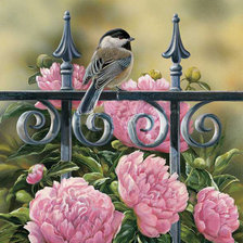 Cross stitch pattern: #563506
