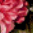 Preview of cross stitch pattern: #563521