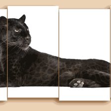 Cross stitch pattern: #563609