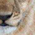 Preview of cross stitch pattern: #563621