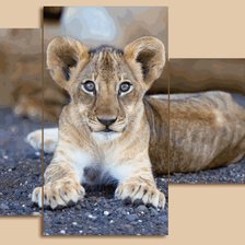 Cross stitch pattern: #563621