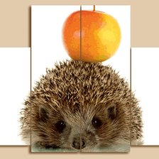 Cross stitch pattern: #563623