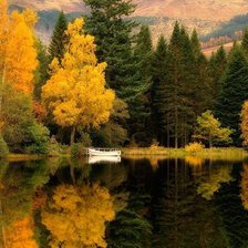 Cross stitch pattern: #563750