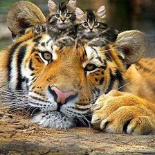 Cross stitch pattern: #563803