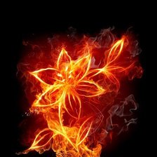 Cross stitch pattern: #563809