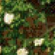 Preview of cross stitch pattern: #563826