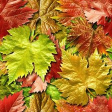 Cross stitch pattern: #564139
