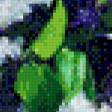 Preview of cross stitch pattern: #564482