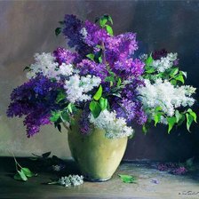 Cross stitch pattern: #564482