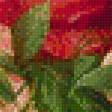 Preview of cross stitch pattern: #564929