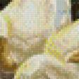 Preview of cross stitch pattern: #564933