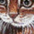 Preview of cross stitch pattern: #564937