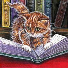 Cross stitch pattern: #564937