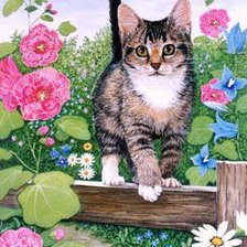 Cross stitch pattern: #564940