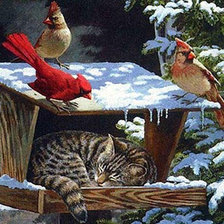Cross stitch pattern: #564954