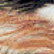 Preview of cross stitch pattern: #565106