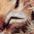 Preview of cross stitch pattern: #565110