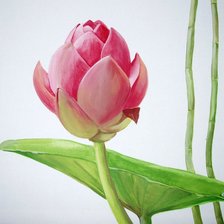Cross stitch pattern: #565175