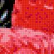 Preview of cross stitch pattern: #565269