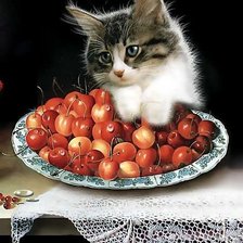 Cross stitch pattern: #565380
