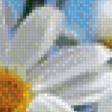 Preview of cross stitch pattern: #565431