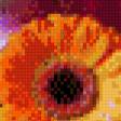 Preview of cross stitch pattern: #565538