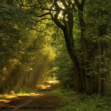 Cross stitch pattern: #565954