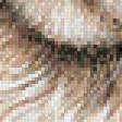 Preview of cross stitch pattern: #566051