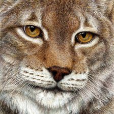 Cross stitch pattern: #566370
