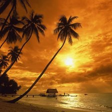 Cross stitch pattern: #566538