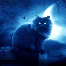 Cross stitch pattern: #566545