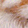 Preview of cross stitch pattern: #566776