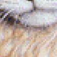 Preview of cross stitch pattern: #566779