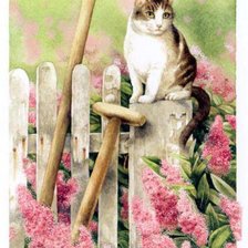 Cross stitch pattern: #566954