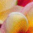 Preview of cross stitch pattern: #567919