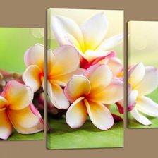 Cross stitch pattern: #567919