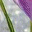 Preview of cross stitch pattern: #568116