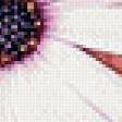 Preview of cross stitch pattern: #568117