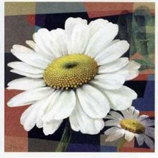 Cross stitch pattern: #568319