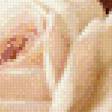 Preview of cross stitch pattern: #568480