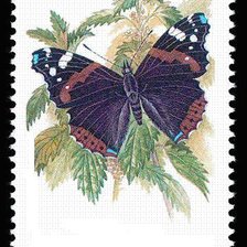 Cross stitch pattern: #568916