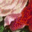 Preview of cross stitch pattern: #568932