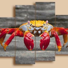 Cross stitch pattern: #569737