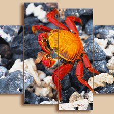 Cross stitch pattern: #569884
