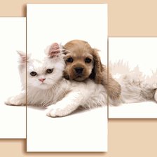 Cross stitch pattern: #569912