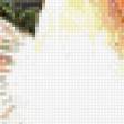 Preview of cross stitch pattern: #569948